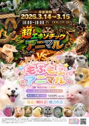 超エキゾチックアニマル VS もふもふアニマル